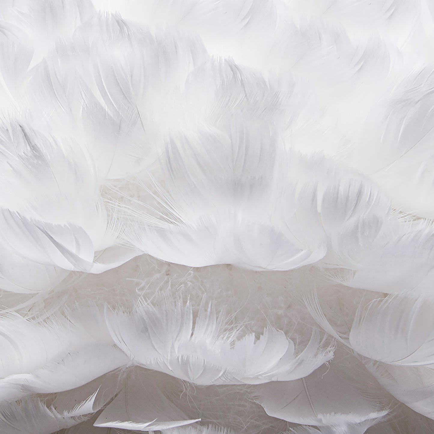 (M)Pendant Light Globe White Feather Chandelier E27 for Children's Bedroom Living Room