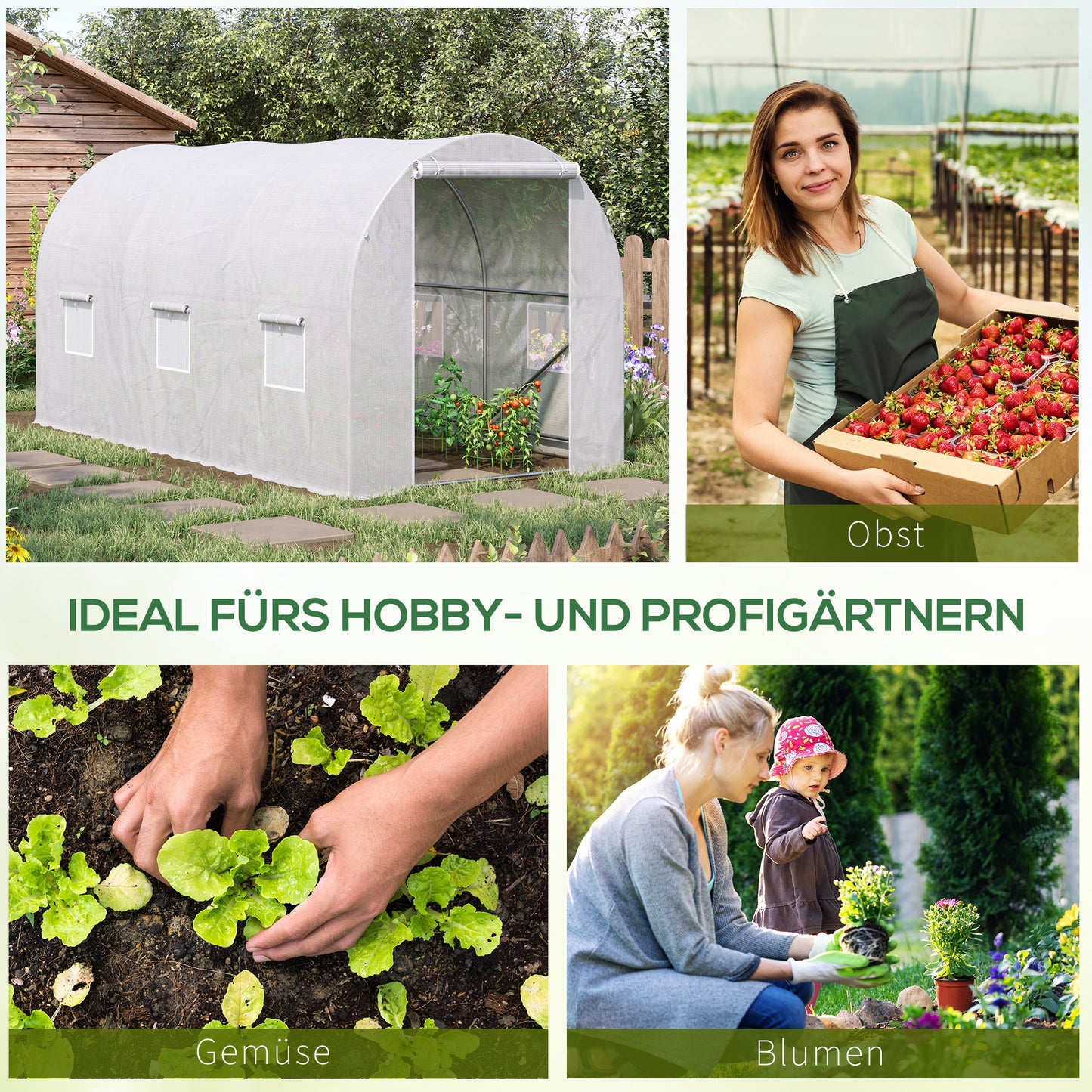 Greenhouse 350x200x200cm film greenhouse greenhouse plant house ideal for garden care & plant cultivation