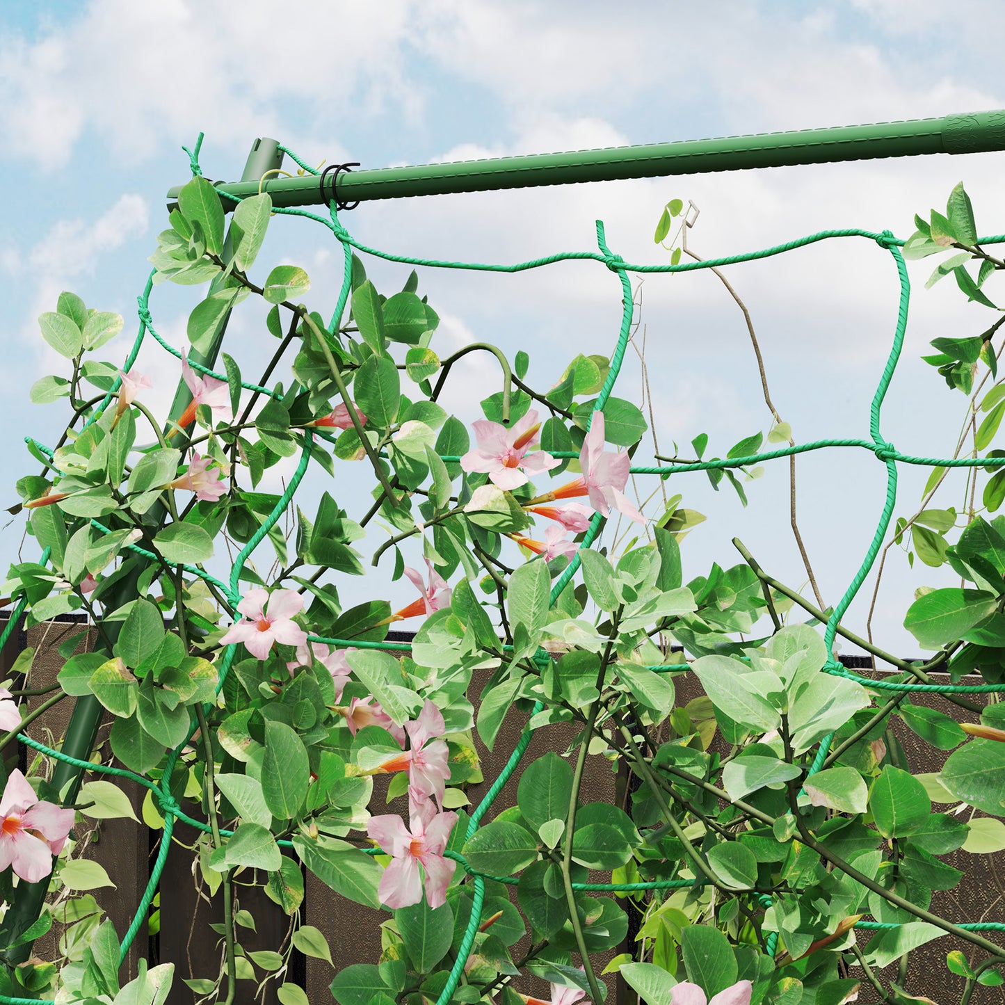 Garden, vegetable, flower trellis, rust-proof, A-shaped trellis for climbing plants, 101x133x227cm