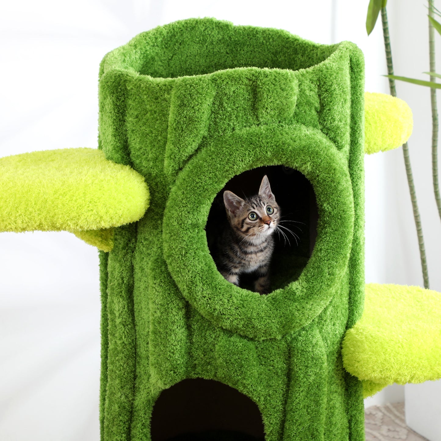 47.2 Inch Large Modern Cat Tree for Multiple Cats Indoors with Perches, Scratching Posts, Removable Mat, Suitable for Cats of All Sizes
