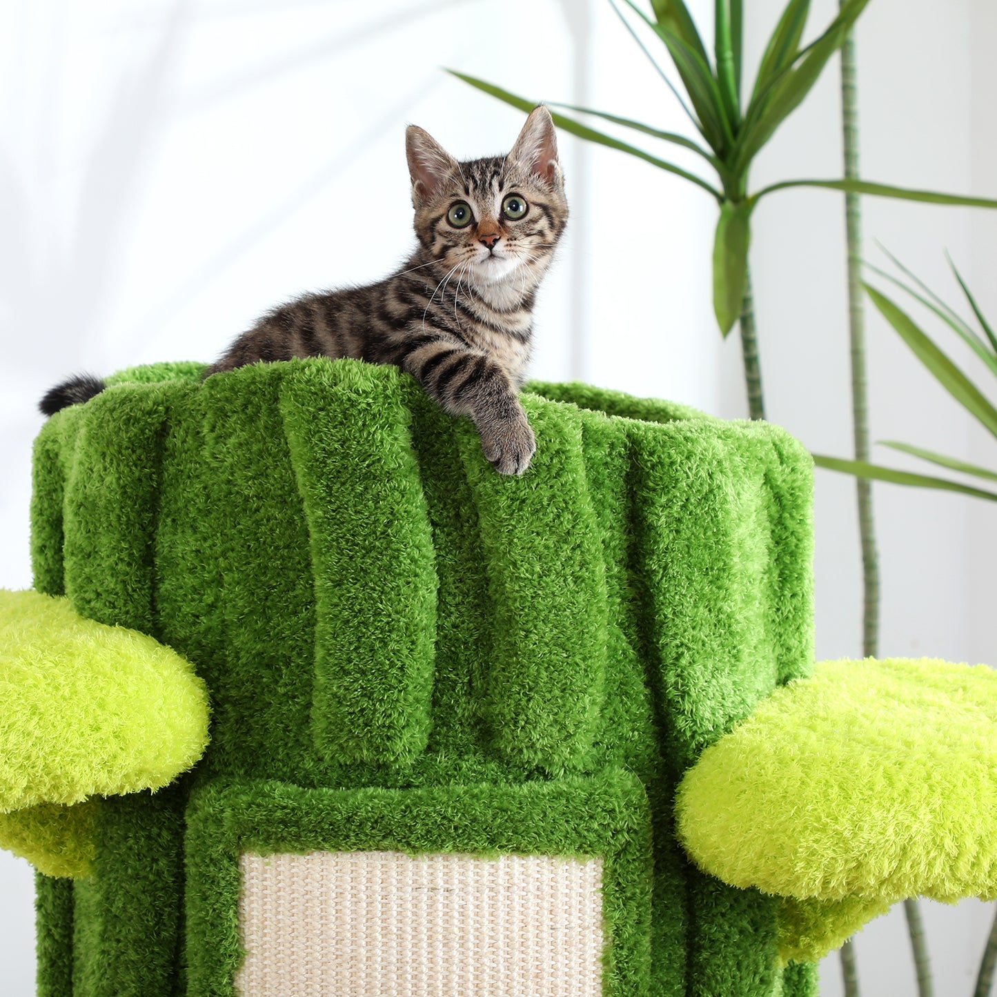 47.2 Inch Large Modern Cat Tree for Multiple Cats Indoors with Perches, Scratching Posts, Removable Mat, Suitable for Cats of All Sizes