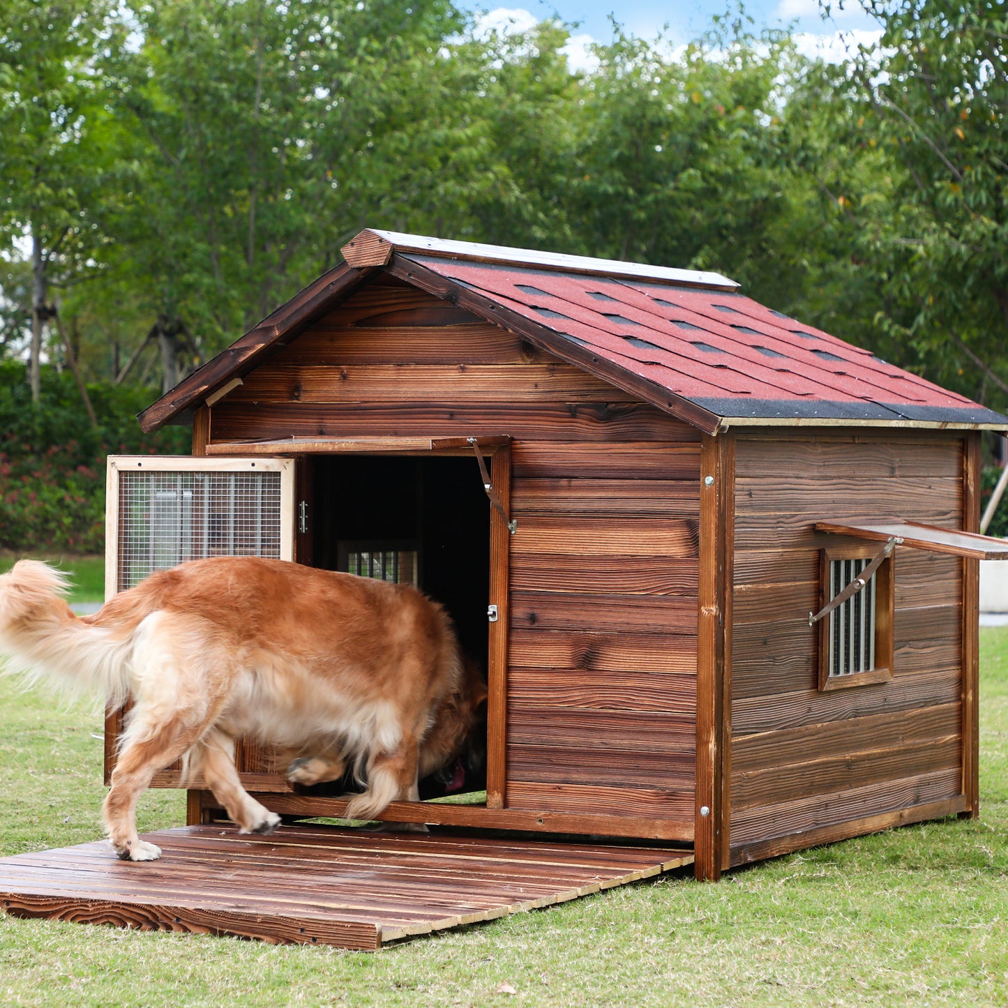 Outdoor Dog House Weatherproof with Window, Pine Wood Dog House with Elevated Floor for Large Dogs, Extra Large Dog House with Waterproof Roof