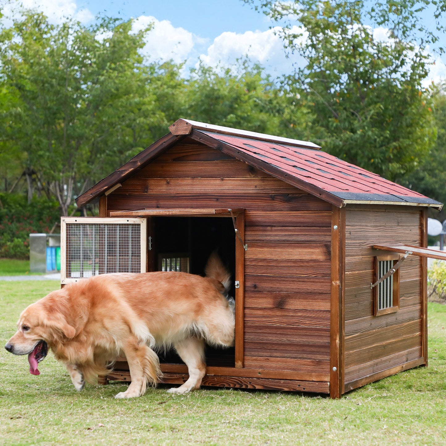 Outdoor Dog House Weatherproof with Window, Pine Wood Dog House with Elevated Floor for Large Dogs, Extra Large Dog House with Waterproof Roof