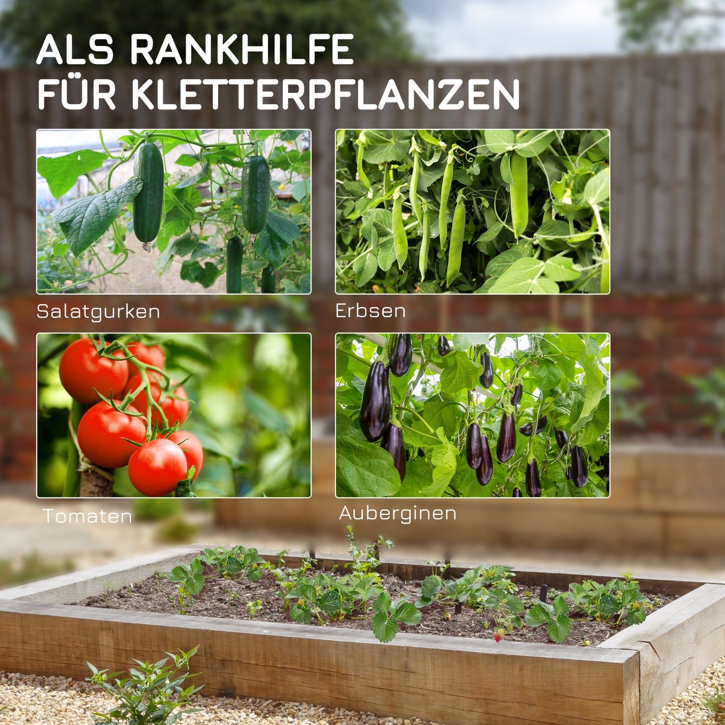 Garden Plant Climbing Trellis
