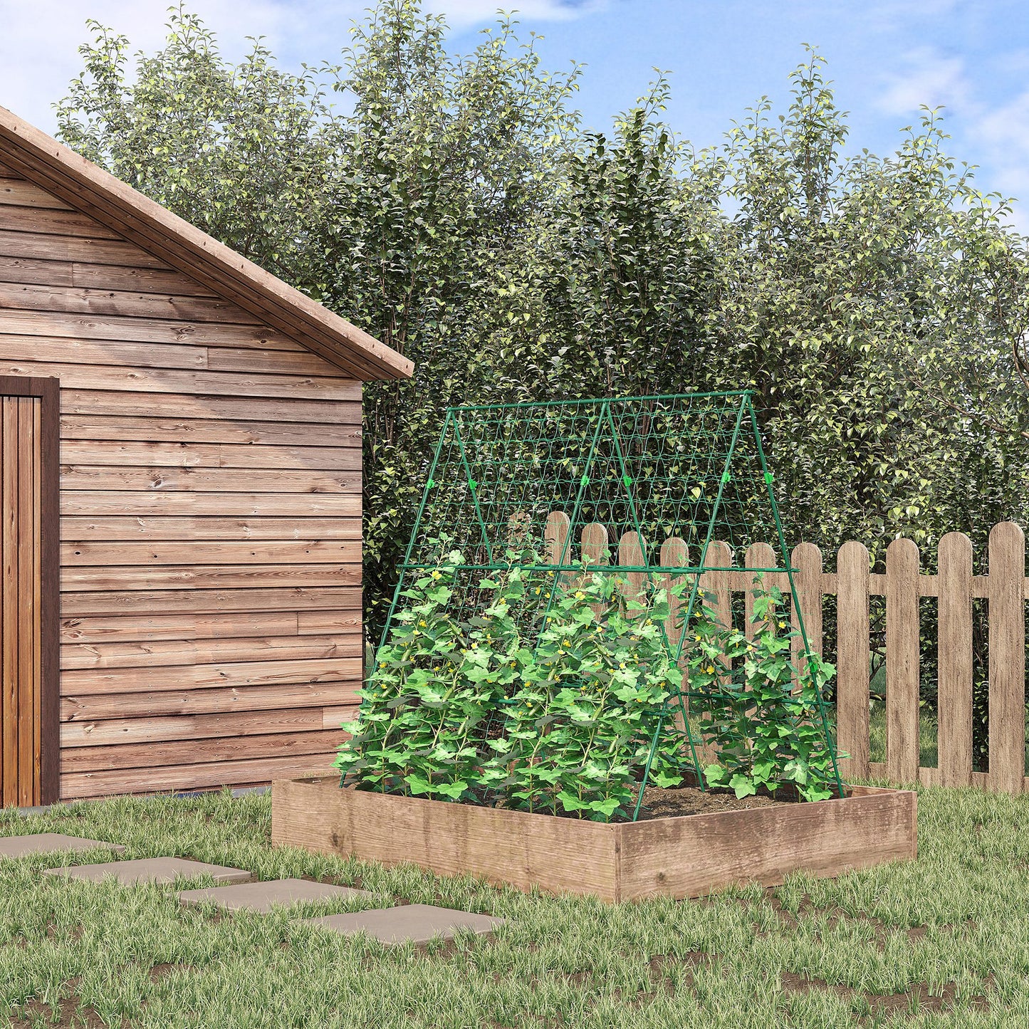 Garden Plant Climbing Trellis