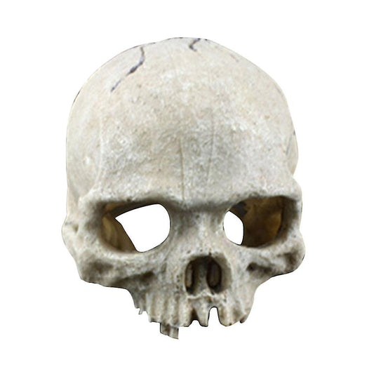 (Y)Skull Aquarium Decoration Terrarium Reptile Fish Tank Ornament Simulation Landscape