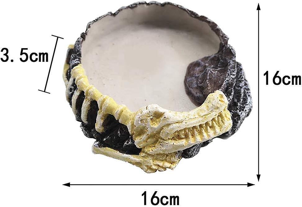 (Y)Reptile Feeding Bowl Turtle Feeding Bowl Reptile & Turtle Feeding Bowl Resin Reptile & Turtle Bowl