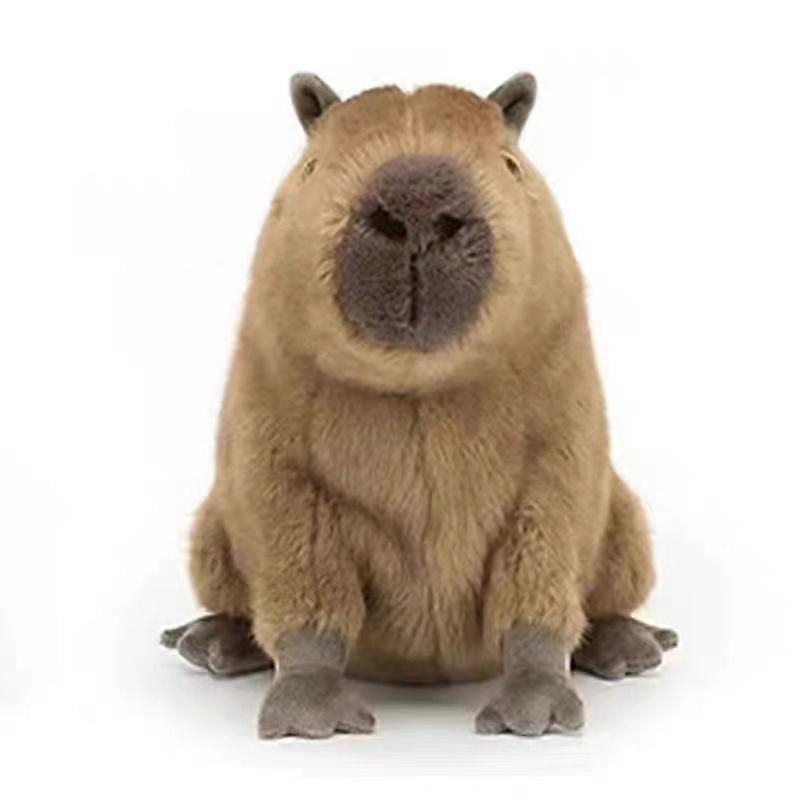 (Y)Capybara Plush, Stuffed Animal Toy, Gifts for Kids, 40cm