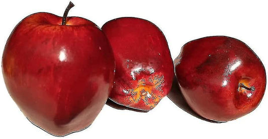 (Y)Artificial Apples Fake Fruits Red Delicious Apples For Decoration, Decorative Fruit, Faux Big Red Apples 8 Pcs