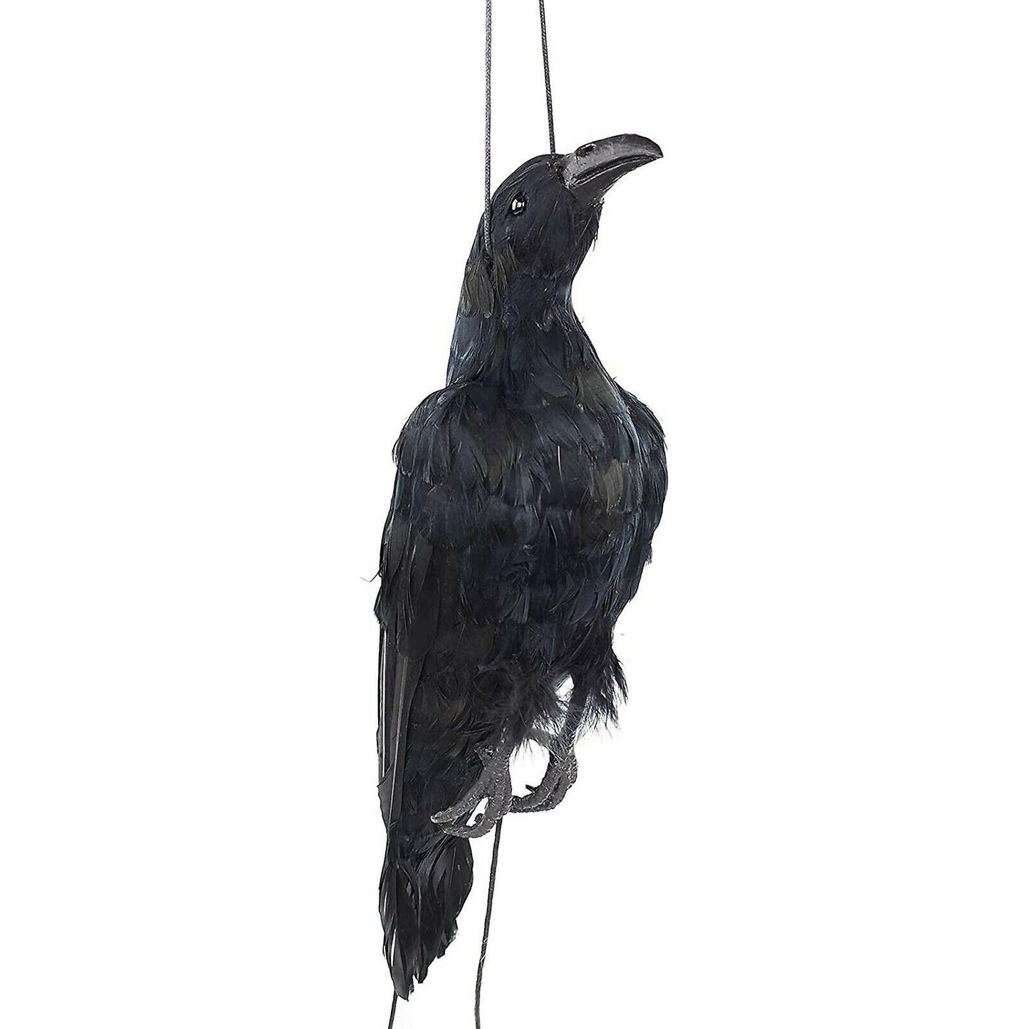 (Y)Realistic Hanging Dead Crow Lifesize Extra Black Feathered Crow