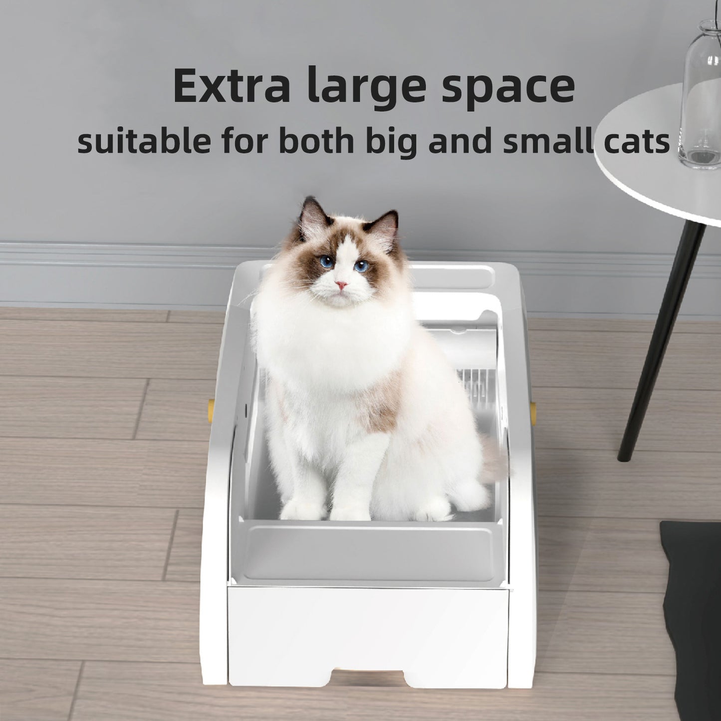 Fully automatic cleaning cat litter box - open space - app automatically detects cats