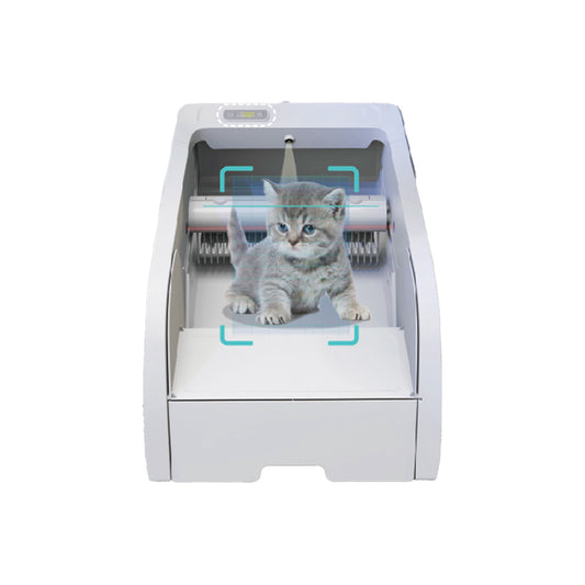 Fully automatic cleaning cat litter box - open space - app automatically detects cats
